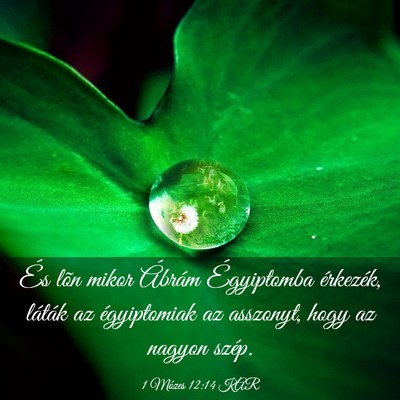 Picture 03 - 1 Mózes 12:14 KAR - És lõn mikor Ábrám Égyiptomba érkezék, - Bible Verse Picture