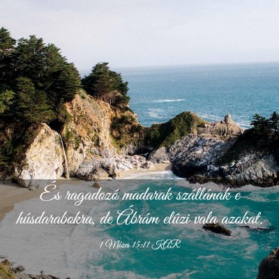 Picture 03 - 1 Mózes 15:11 KAR - És ragadozó madarak szállának e - Bible Verse Picture