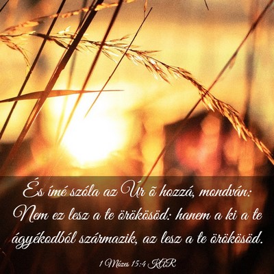 Picture 03 - 1 Mózes 15:4 KAR - És ímé szóla az Úr õ hozzá, mondván: Nem - Bible Verse Picture