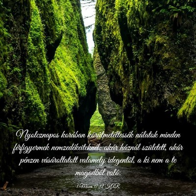 Picture 03 - 1 Mózes 17:12 KAR - Nyolcznapos korában körûlmetéltessék - Bible Verse Picture