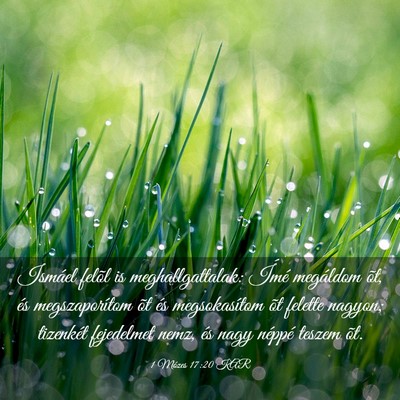 Picture 03 - 1 Mózes 17:20 KAR - Ismáel felõl is meghallgattalak: Ímé - Bible Verse Picture