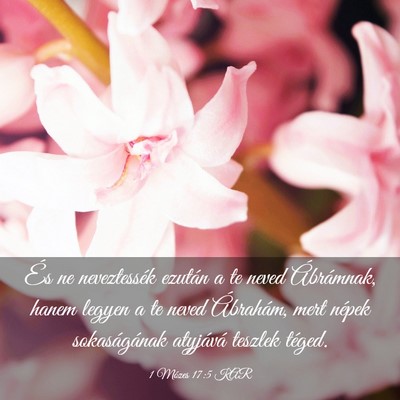 Picture 03 - 1 Mózes 17:5 KAR - És ne neveztessék ezután a te neved - Bible Verse Picture