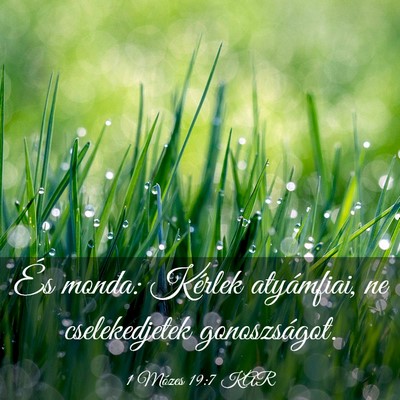 Picture 03 - 1 Mózes 19:7 KAR - És monda: Kérlek atyámfiai, ne cselekedjetek - Bible Verse Picture