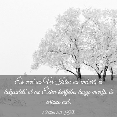 Picture 03 - 1 Mózes 2:15 KAR - És vevé az Úr Isten az embert, és helyezteté - Bible Verse Picture