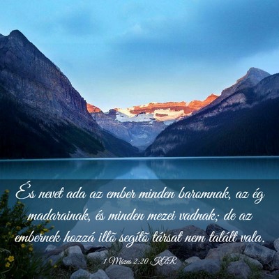 Picture 03 - 1 Mózes 2:20 KAR - És nevet ada az ember minden baromnak, az ég - Bible Verse Picture
