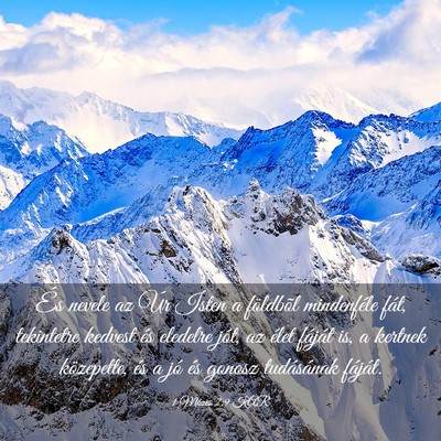 Picture 03 - 1 Mózes 2:9 KAR - És nevele az Úr Isten a földbõl mindenféle - Bible Verse Picture