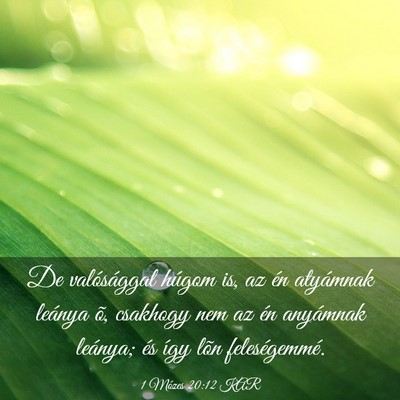 Picture 03 - 1 Mózes 20:12 KAR - De valósággal húgom is, az én atyámnak - Bible Verse Picture