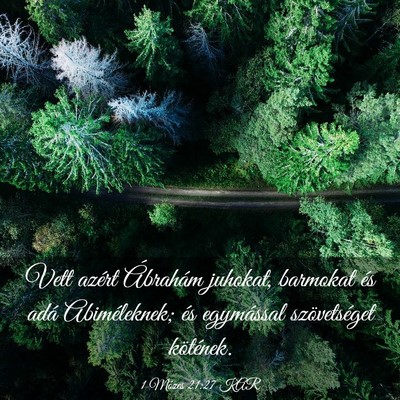 Picture 03 - 1 Mózes 21:27 KAR - Vett azért Ábrahám juhokat, barmokat és adá - Bible Verse Picture