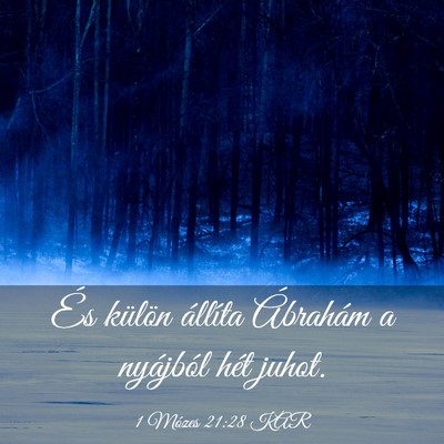 Picture 03 - 1 Mózes 21:28 KAR - És külön állíta Ábrahám a nyájból hét - Bible Verse Picture