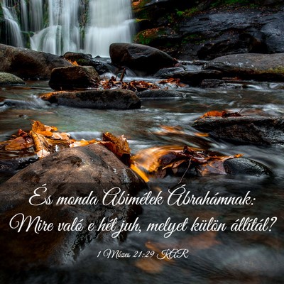 Picture 03 - 1 Mózes 21:29 KAR - És monda Abimélek Ábrahámnak: Mire való e - Bible Verse Picture