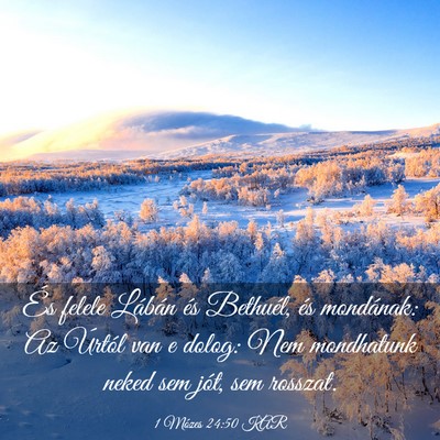 Picture 03 - 1 Mózes 24:50 KAR - És felele Lábán és Bethuél, és mondának: - Bible Verse Picture
