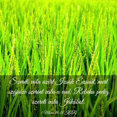 Picture 03 - 1 Mózes 25:28 KAR - Szereti vala azért Izsák Ézsaút, mert - Bible Verse Picture
