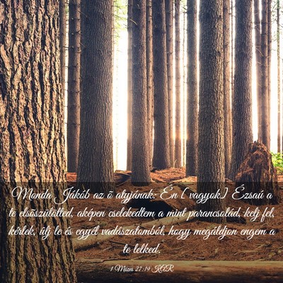 Picture 03 - 1 Mózes 27:19 KAR - Monda Jákób az õ atyjának: Én [vagyok] - Bible Verse Picture