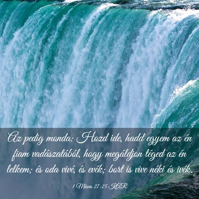 Picture 03 - 1 Mózes 27:25 KAR - Az pedig monda: Hozd ide, hadd egyem az én fiam - Bible Verse Picture