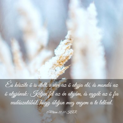 Picture 03 - 1 Mózes 27:31 KAR - És készíte õ is ételt, s vivé az õ atyja - Bible Verse Picture
