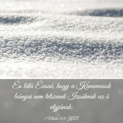 Picture 03 - 1 Mózes 28:8 KAR - És látá Ézsaú, hogy a Kananeusok leányai - Bible Verse Picture
