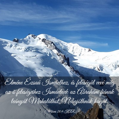 Picture 03 - 1 Mózes 28:9 KAR - Elméne Ézsaú Ismáelhez, és feleségûl vevé - Bible Verse Picture
