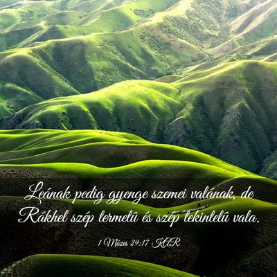 Picture 03 - 1 Mózes 29:17 KAR - Leának pedig gyenge szemei valának, de Rákhel - Bible Verse Picture