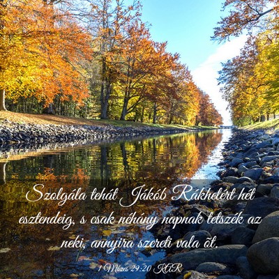 Picture 03 - 1 Mózes 29:20 KAR - Szolgála tehát Jákób Rákhelért hét - Bible Verse Picture