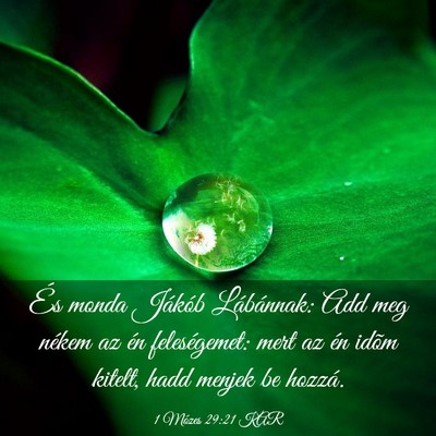 Picture 03 - 1 Mózes 29:21 KAR - És monda Jákób Lábánnak: Add meg nékem az - Bible Verse Picture