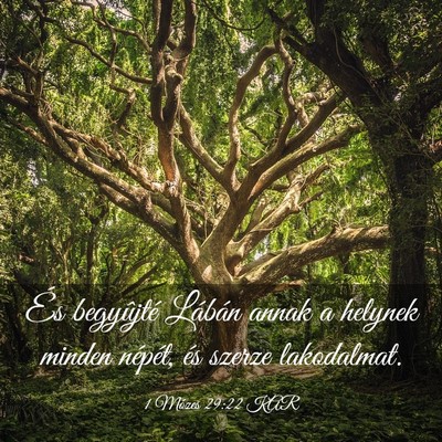 Picture 03 - 1 Mózes 29:22 KAR - És begyûjté Lábán annak a helynek minden - Bible Verse Picture