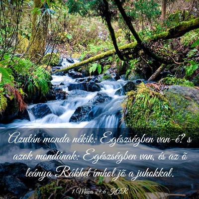 Picture 03 - 1 Mózes 29:6 KAR - Azután monda nékik: Egészségben van-é? s - Bible Verse Picture