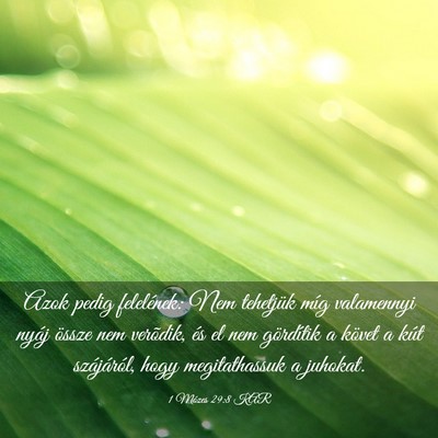 Picture 03 - 1 Mózes 29:8 KAR - Azok pedig felelének: Nem tehetjük míg - Bible Verse Picture