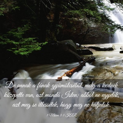 Picture 03 - 1 Mózes 3:3 KAR - De annak a fának gyümölcsébõl, mely a - Bible Verse Picture