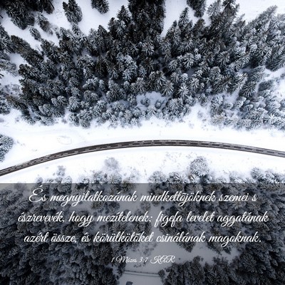 Picture 03 - 1 Mózes 3:7 KAR - És megnyilatkozának mindkettõjöknek szemei s - Bible Verse Picture
