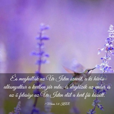 Picture 03 - 1 Mózes 3:8 KAR - És meghallák az Úr Isten szavát, a ki hûvös - Bible Verse Picture