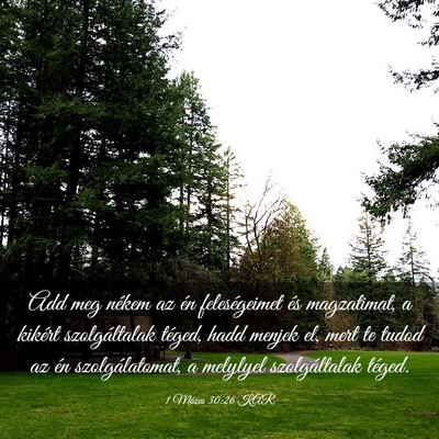 Picture 03 - 1 Mózes 30:26 KAR - Add meg nékem az én feleségeimet és - Bible Verse Picture