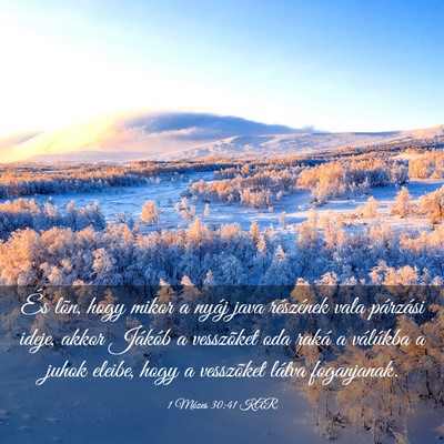 Picture 03 - 1 Mózes 30:41 KAR - És lõn, hogy mikor a nyáj java részének vala - Bible Verse Picture
