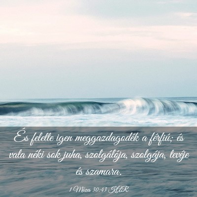 Picture 03 - 1 Mózes 30:43 KAR - És felette igen meggazdagodék a férfiú; és - Bible Verse Picture