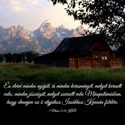 Picture 03 - 1 Mózes 31:18 KAR - És elvivé minden nyáját, és minden - Bible Verse Picture