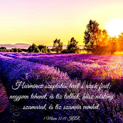 Picture 03 - 1 Mózes 32:15 KAR - Harmincz szoptatós tevét s azok fiait; negyven - Bible Verse Picture