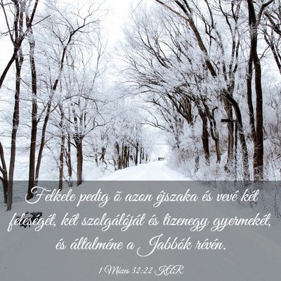 Picture 03 - 1 Mózes 32:22 KAR - Felkele pedig õ azon éjszaka és vevé két - Bible Verse Picture