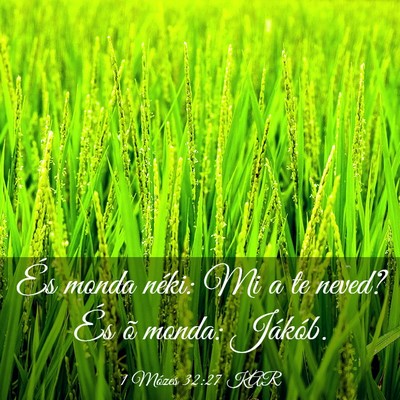 Picture 03 - 1 Mózes 32:27 KAR - És monda néki: Mi a te neved? És õ monda: - Bible Verse Picture