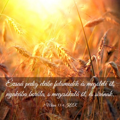 Picture 03 - 1 Mózes 33:4 KAR - Ézsaú pedig eleibe futamodék és megölelé - Bible Verse Picture