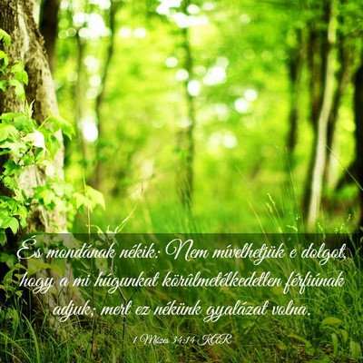 Picture 03 - 1 Mózes 34:14 KAR - És mondának nékik: Nem mívelhetjük e dolgot, - Bible Verse Picture