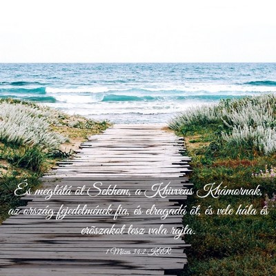 Picture 03 - 1 Mózes 34:2 KAR - És meglátá õt Sekhem, a Khivveus Khámornak, - Bible Verse Picture