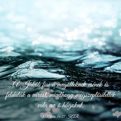 Picture 03 - 1 Mózes 34:27 KAR - A Jákób fiai a megölteknek esének és - Bible Verse Picture