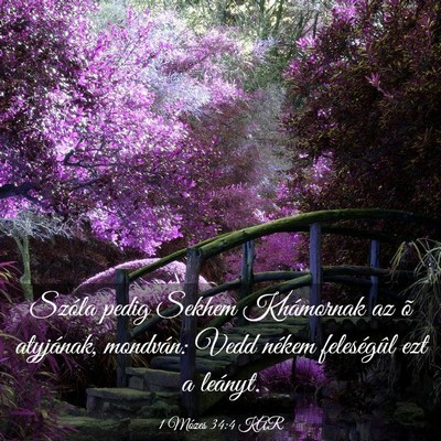 Picture 03 - 1 Mózes 34:4 KAR - Szóla pedig Sekhem Khámornak az õ atyjának, - Bible Verse Picture