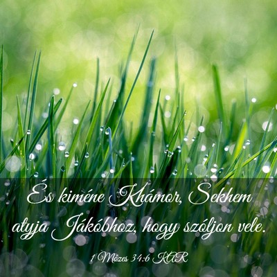 Picture 03 - 1 Mózes 34:6 KAR - És kiméne Khámor, Sekhem atyja Jákóbhoz, - Bible Verse Picture