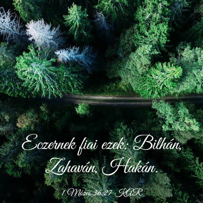 Picture 03 - 1 Mózes 36:27 KAR - Eczernek fiai ezek: Bilhán, Zahaván, - Bible Verse Picture