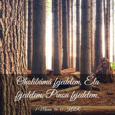 Picture 03 - 1 Mózes 36:41 KAR - Oholibámá fejedelem, Éla fejedelem, Pinon - Bible Verse Picture