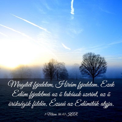 Picture 03 - 1 Mózes 36:43 KAR - Magdiél fejedelem, Hirám fejedelem. Ezek Edóm - Bible Verse Picture
