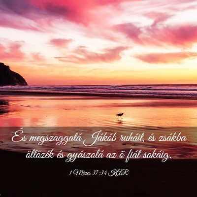 Picture 03 - 1 Mózes 37:34 KAR - És megszaggatá Jákób ruháit, és zsákba - Bible Verse Picture