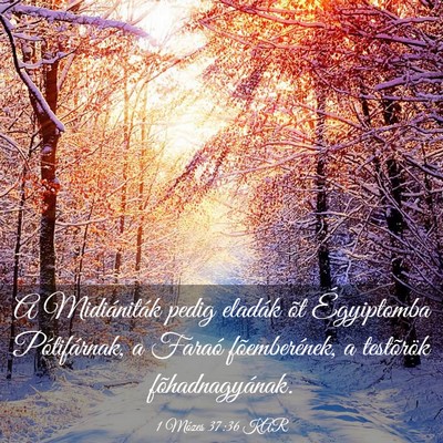 Picture 03 - 1 Mózes 37:36 KAR - A Midiániták pedig eladák õt Égyiptomba - Bible Verse Picture