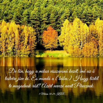 Picture 03 - 1 Mózes 38:29 KAR - De lõn, hogy a mikor visszavoná kezét, ímé - Bible Verse Picture