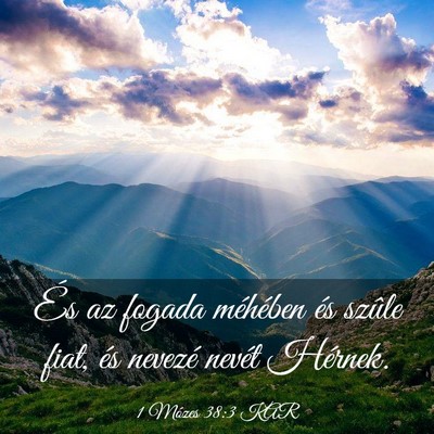 Picture 03 - 1 Mózes 38:3 KAR - És az fogada méhében és szûle fiat, és - Bible Verse Picture